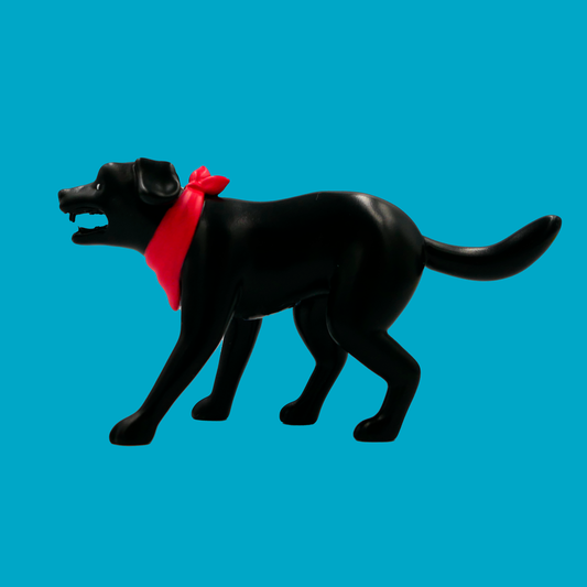 Negro Matapacos x Malditoperrito