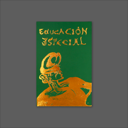 Educación Especial